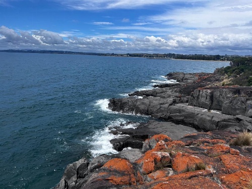 The Dannebrog Lodge image 12