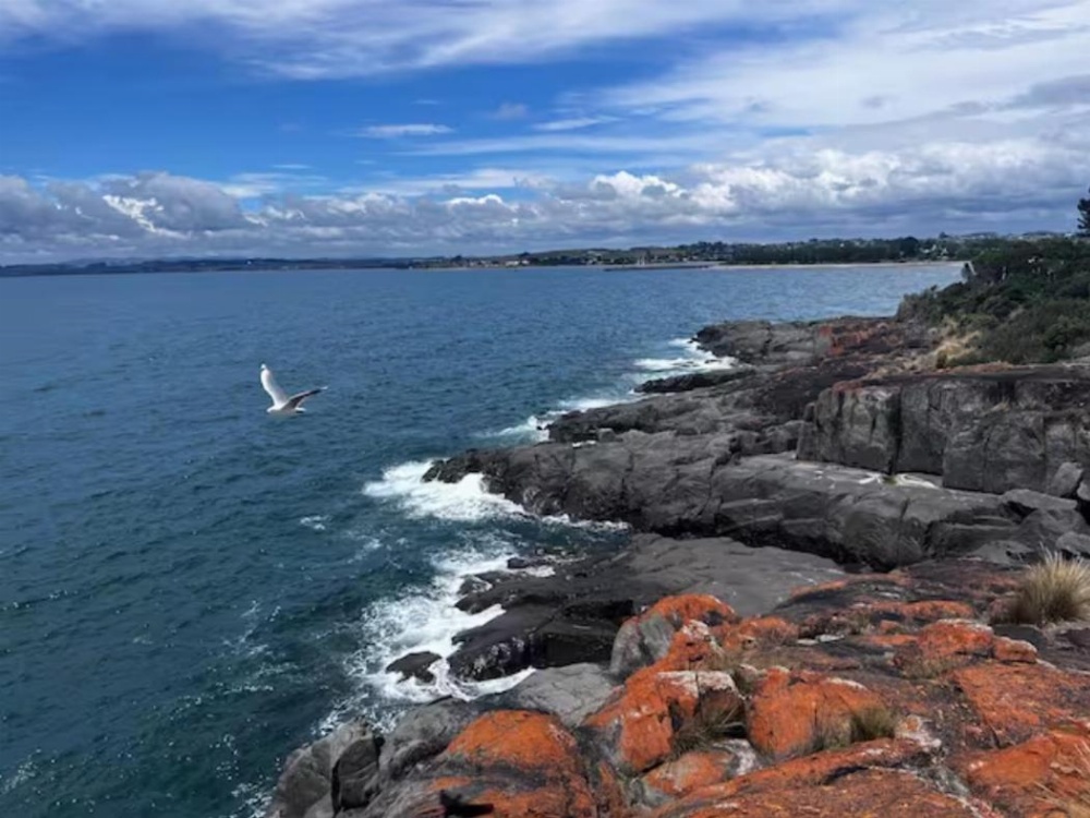 The Dannebrog Lodge Main image