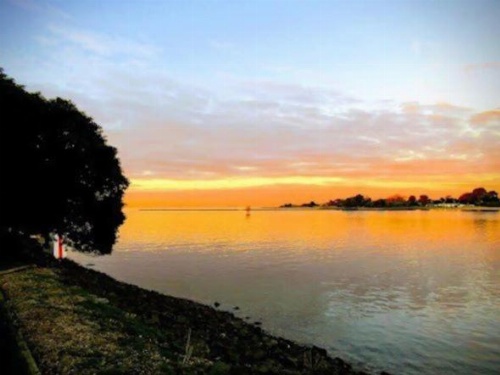 The Dannebrog Lodge image 34